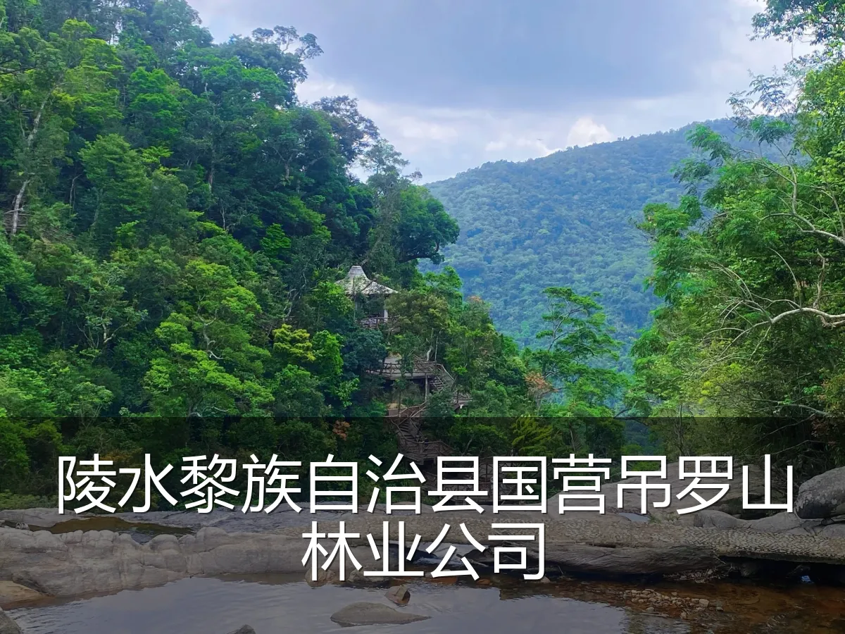 陵水黎族自治县国营吊罗山林业公司
